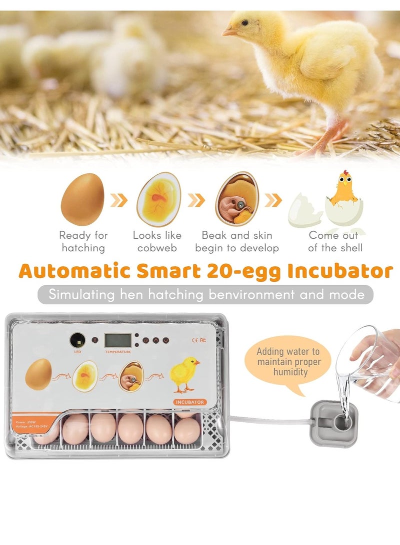 Generic Digital Egg Incubator 20 Eggs Poultry Hatcher with Auto Egg Turning Temperature Control LED Light Temperature Humidity Alarm Incubator for Chicken Ducks Bds Eggs  - Image 5