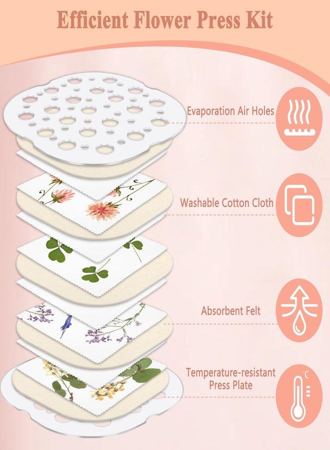 Catcan Microwave Flower Press Kit, 4 Layers Quickly Flower Pressing Kit for Adults to Quickly Making Plant Specimens, Used for DIY Art & Crafts in Nature Plants Flowers(8 x 8 inch) - Image 3