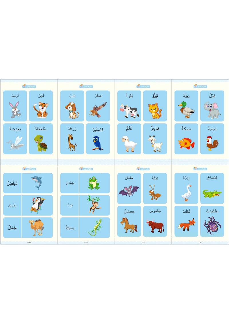 DubaiGallery 4-Piece Cartoon Water Coloring Magic Book With Water Pen For Toddlers And Kids - Image 5