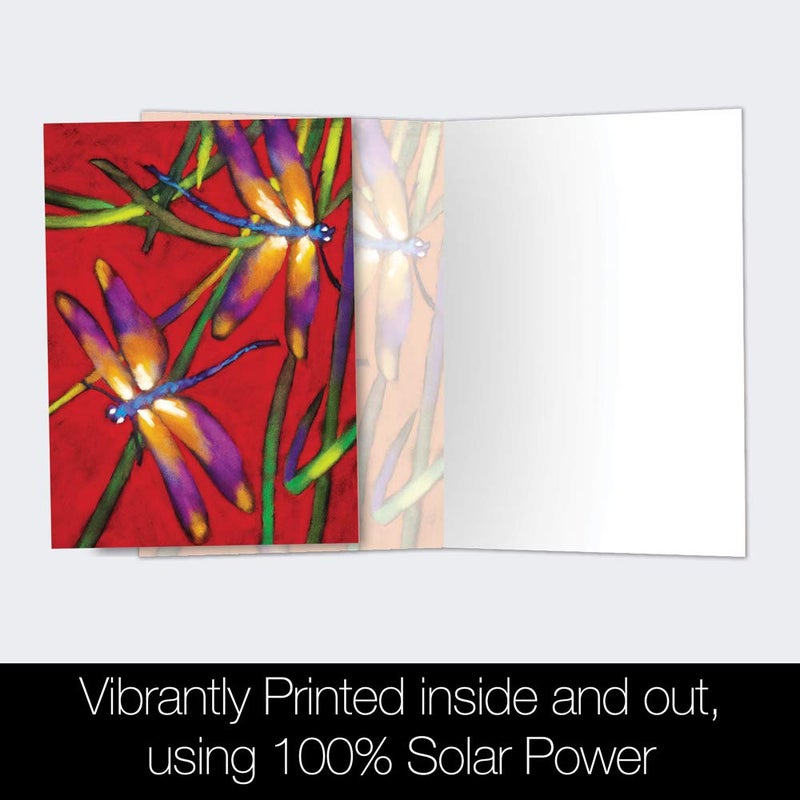 Tree-Free Greetings - All Occasion Cards - Artful Designs - 12 Greeting Cards + White Envelopes - Made in USA - 100% Recycled Paper - 4 x 6 - Deux Libuelles (FS66502) - Image 3