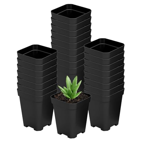XCRUI Square Nursery Pots 60Pcs 3" Deep Succulent Plastic Pots Small Flower Planter Seeds Starter Germination Pots for Plants, Succulent, Flower - Image 1