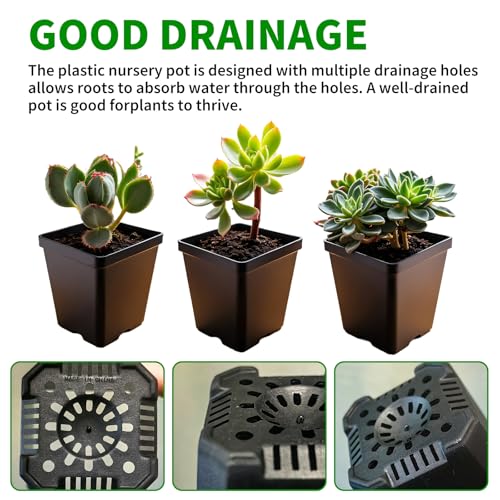 XCRUI Square Nursery Pots 60Pcs 3" Deep Succulent Plastic Pots Small Flower Planter Seeds Starter Germination Pots for Plants, Succulent, Flower - Image 5