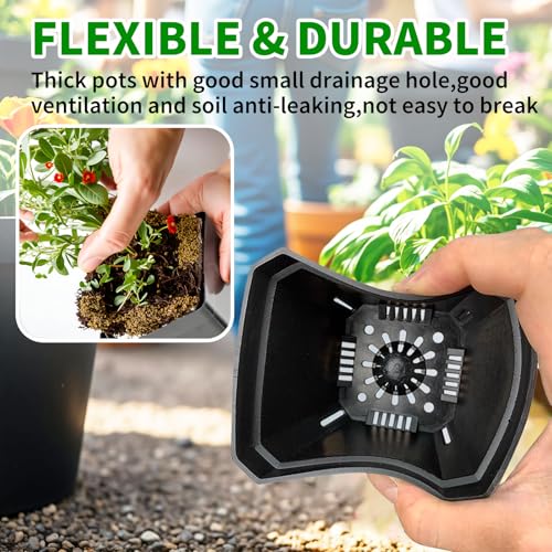 XCRUI Square Nursery Pots 60Pcs 3" Deep Succulent Plastic Pots Small Flower Planter Seeds Starter Germination Pots for Plants, Succulent, Flower - Image 4