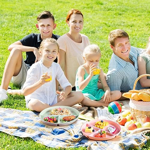 PUPOPIK 9" Unbreakable Divided Plates Set of 5, Wheat Straw Plate Reusable Dinnerware Portion Control Plates, Round Bariatric Plastic Plate for Kids Adults, BPA-free, Dishwasher Safe - Image 4