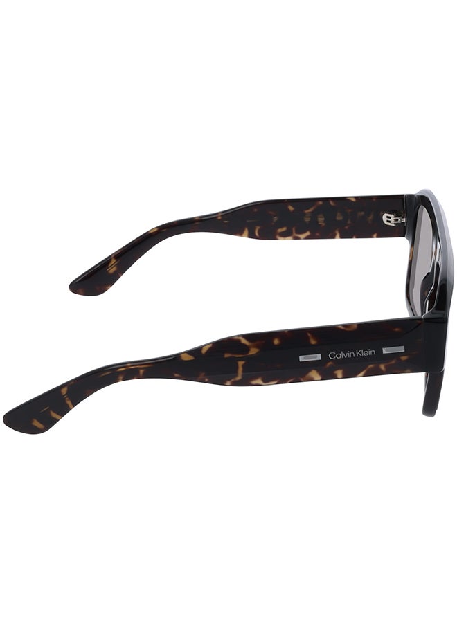 CALVIN KLEIN FULL RIM ACETATE CALVIN KLEIN SUN CK25509S 5420 (240) HAVANA - Image 5