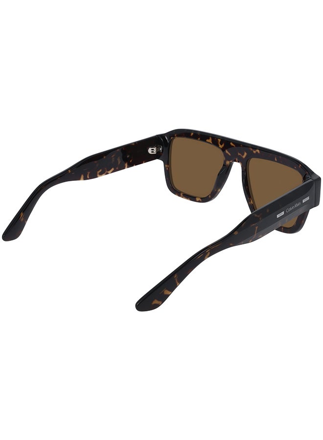 CALVIN KLEIN FULL RIM ACETATE CALVIN KLEIN SUN CK25509S 5420 (240) HAVANA - Image 4