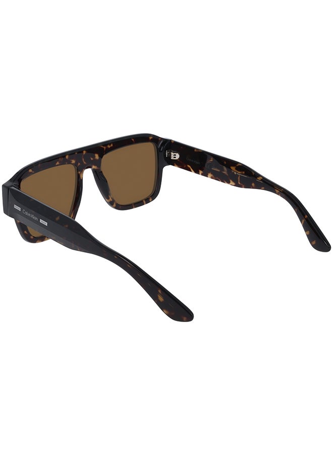 CALVIN KLEIN FULL RIM ACETATE CALVIN KLEIN SUN CK25509S 5420 (240) HAVANA - Image 2