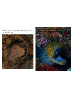 HarperCollins Publishers Fish that Fool: Phase 5 Set 1  - Image 4