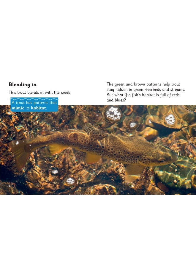 HarperCollins Publishers - Fish that Fool: Phase 5 Set 1 - Image 1