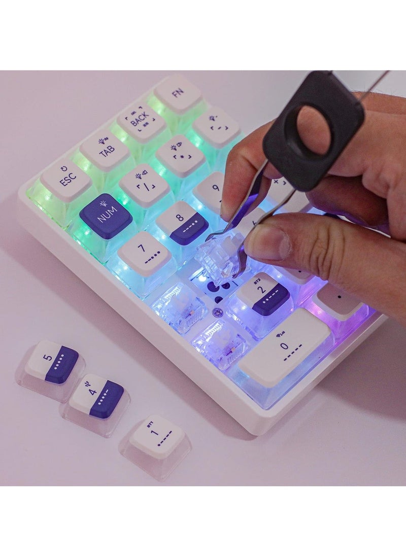 K21 Wireless Mechanical Numeric Keypad for Tenkeyless Keyboard, Tri-Mode with Pudding Keycaps, Hot Swappable, RGB Ice Crystal Switch