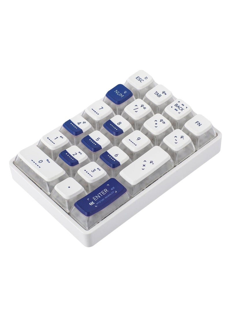 K21 Wireless Mechanical Numeric Keypad for Tenkeyless Keyboard, Tri-Mode with Pudding Keycaps, Hot Swappable, RGB Ice Crystal Switch