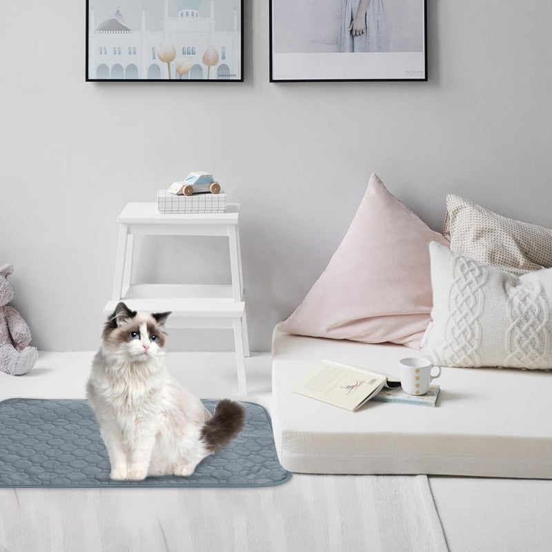 Cool Cushion -function Pet Pad Anti- Indoor Pet Cushion Dog Urine Pad Pet Supplies (Size S) - Image 5