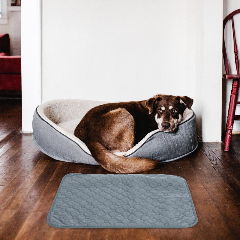 Cool Cushion -function Pet Pad Anti- Indoor Pet Cushion Dog Urine Pad Pet Supplies (Size S) - Image 1