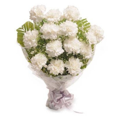 Floralbay Floralbay White Carnation Fresh Flowers in Cellophane Wrapping Bunch of 12
