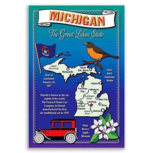 Postcard Fair MICHIGAN STATE MAP postcard set of 20 identical postcards. Post cards with MI map and state symbols. Made in USA. - Image 5