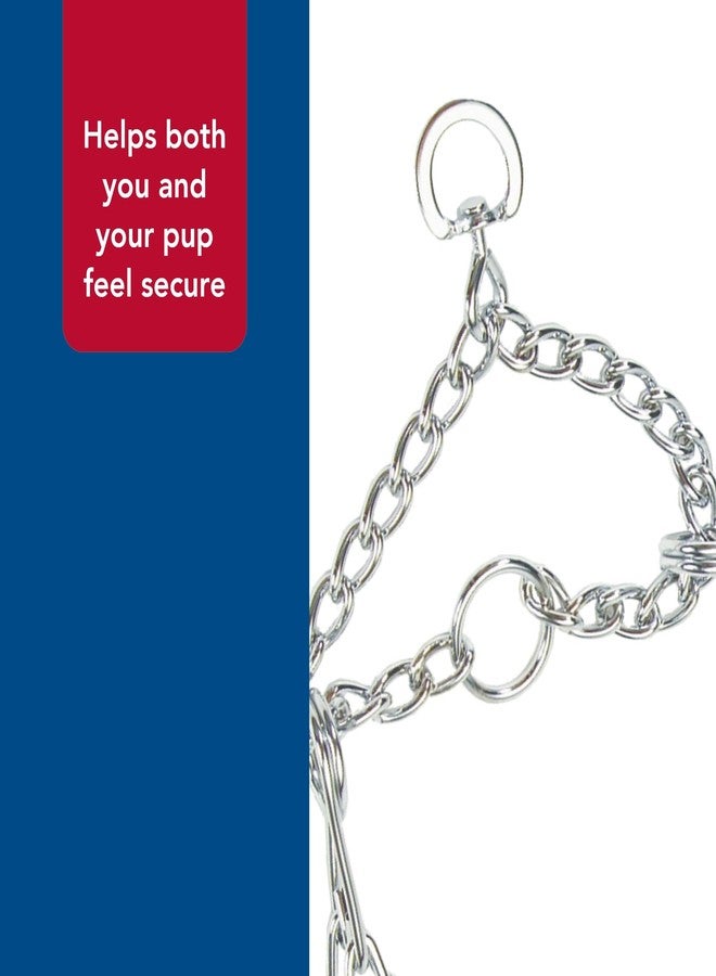 Coastal Pet Titan Dog Prong Training Collar - Rust-Resistant and Prong Metal Training Chain Collar for Dogs - Quality Supplies - 2 mm x 14" - Image 4