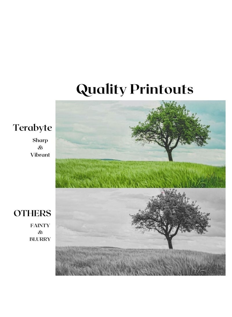 Terabyte MP2001/2501 REPLACEMENT TONER TERABYTE - Image 2