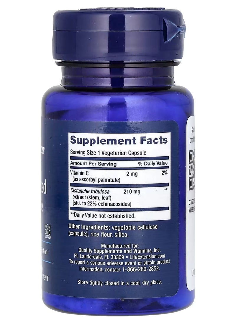 Life Extension, Standardized Cistanche, 30 Vegetarian Capsules - Image 2