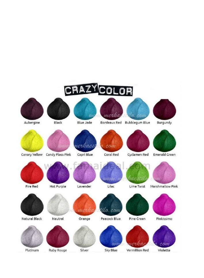 Crazy Color Silver No.027 - 100ml - Image 3