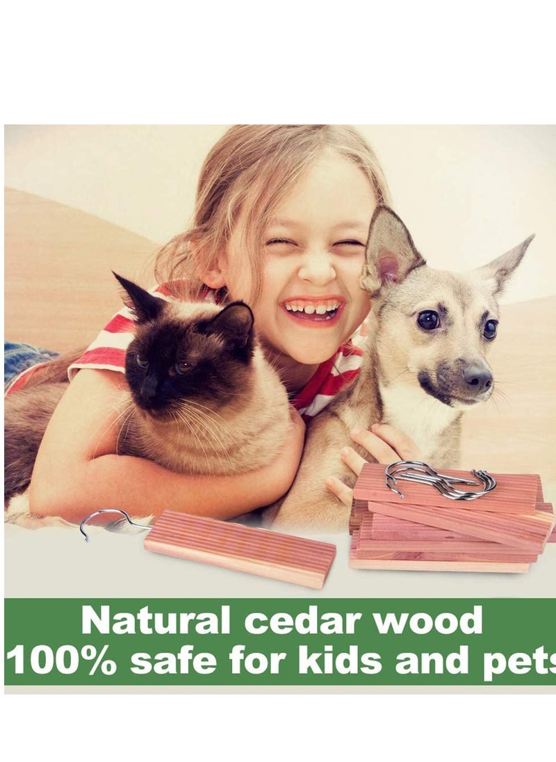 SYOSI - Cedar Blocks for Clothes Storage Moth Repellant Aromatic Hangers Planks Ceder Balls Accessories Closets and Drawers Freshener Protection 20 Pieces - Image 1
