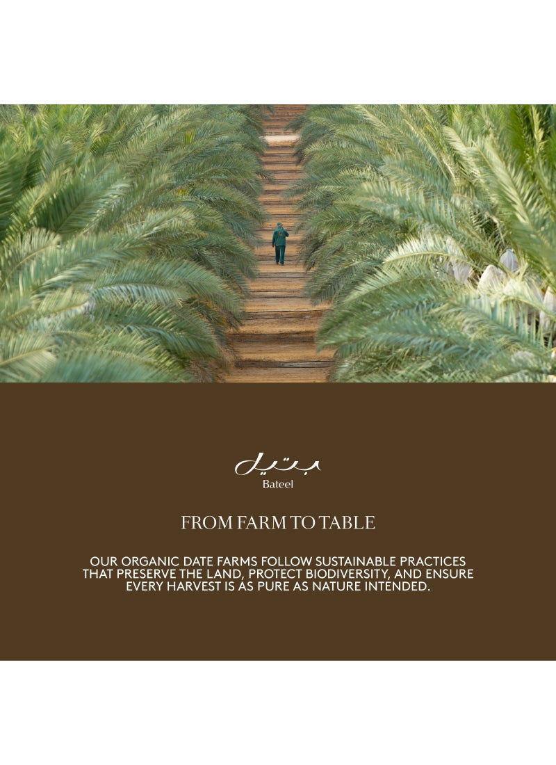 Bateel Palm Large Gift Set Premium Filled Dates 1 Box (963g) - Image 4
