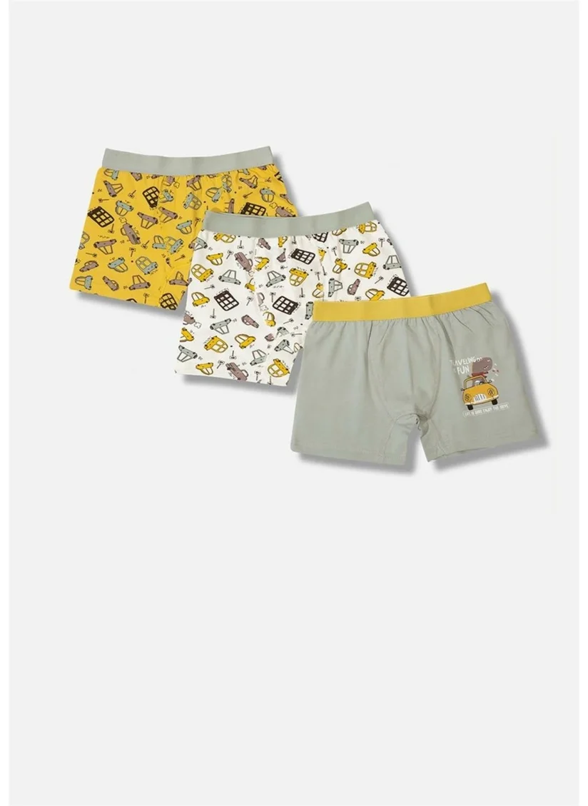 Defne Car Pattern Printed Lycra Combed Cotton Boy 3-Piece Boxer Set