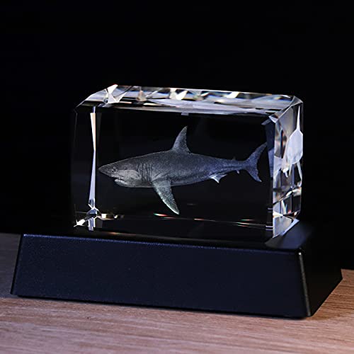 Qianwei 3D Crystals Shark Gifts for Shark Lovers,Shark Decor Glass Figurine Shark Jaw Stuff Birthday for Lovers,Keepsake&Paperweight - Image 4