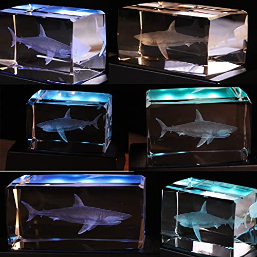 Qianwei 3D Crystals Shark Gifts for Shark Lovers,Shark Decor Glass Figurine Shark Jaw Stuff Birthday for Lovers,Keepsake&Paperweight - Image 3