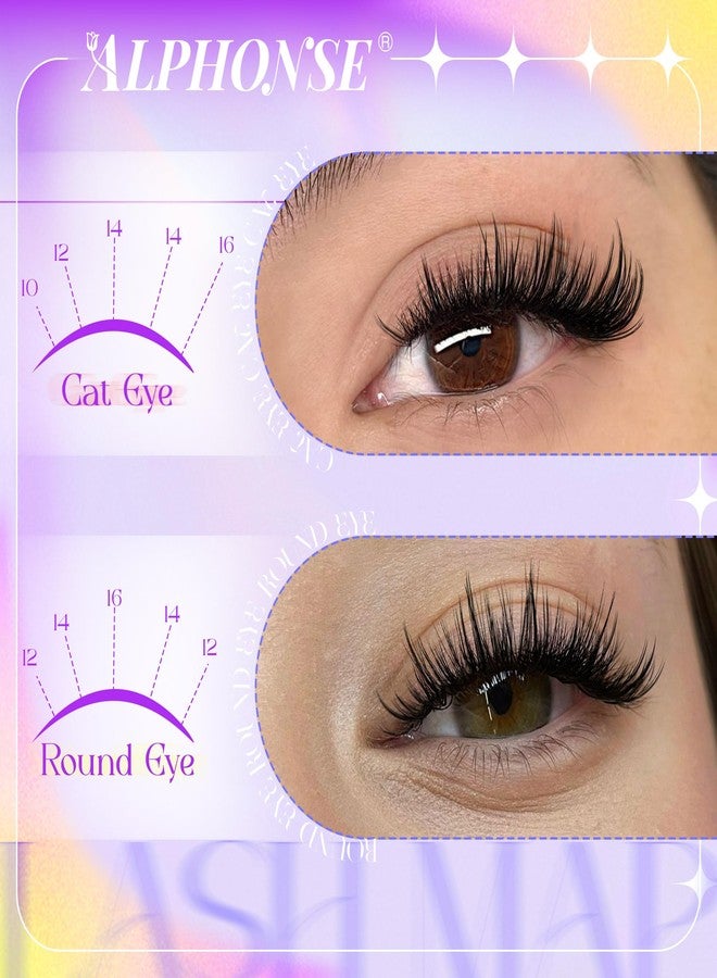 alphonse Wispy Lash Clusters Kit Natural Look DIY False Eyelashes Cluster Eyelash Extensions Kit 10-16mm Eyelash Clusters Kit with Bond and Seal by ALPHONSE - Image 3