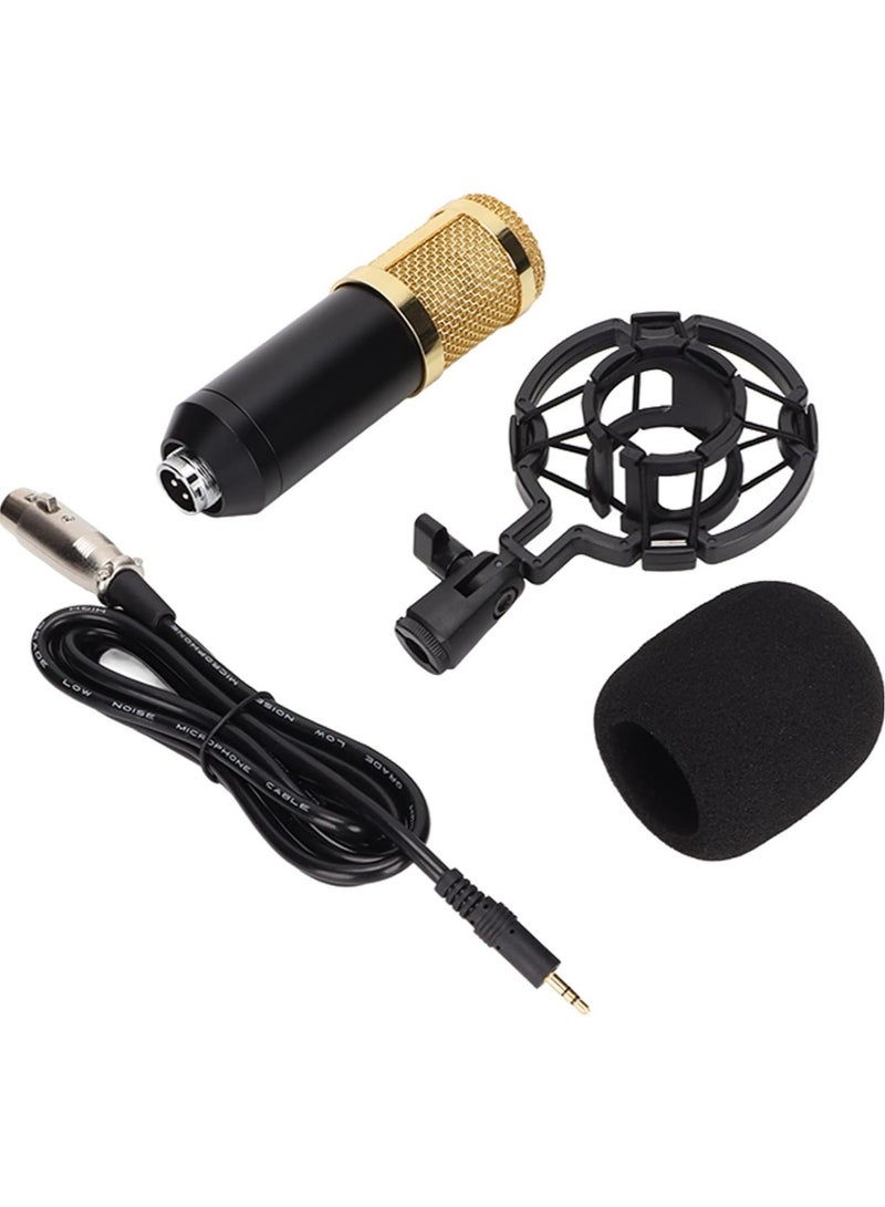 Wired Condenser Microphone, High Output and Low Noise Broadcast Recording Mic, XLR to 3.5mm Microphone with Shockproof Mount, Suitable for Recording Studios  - Image 1