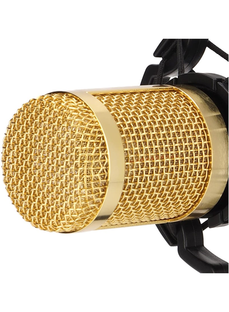Wired Condenser Microphone, High Output and Low Noise Broadcast Recording Mic, XLR to 3.5mm Microphone with Shockproof Mount, Suitable for Recording Studios  - Image 2