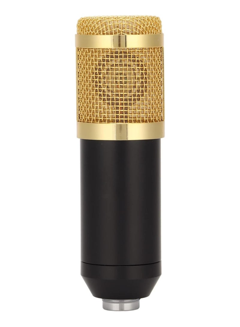 Wired Condenser Microphone, High Output and Low Noise Broadcast Recording Mic, XLR to 3.5mm Microphone with Shockproof Mount, Suitable for Recording Studios  - Image 5