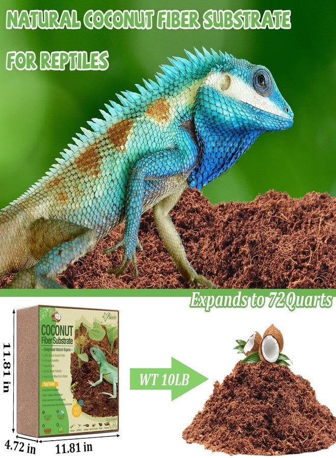 Riare 10LBS Natural Coconut Fiber Substrate for Reptile- Premium Compressed Coconut Husk Terrarium Bedding for Reptile, Tortoise, Frogs, Snakes, Hermit Crabs, Burrowing Animals - Image 2
