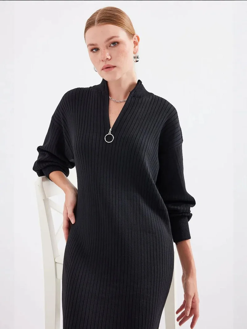 BIG DART BDART Textured Knit Dress with Half Turtleneck and Zipper