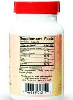 DIGESTYL Digestil capsules for indigestion and bloating symptoms 60 capsules  - Image 2