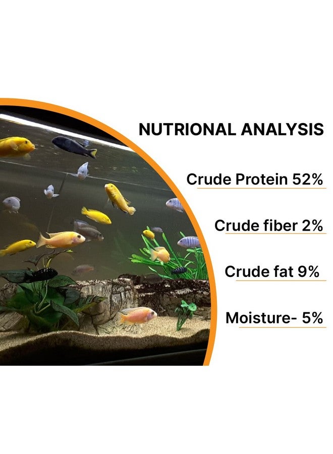 Boltze طعام أسماك توبيفكس المجفف بالتجميد 50 جرام لجميع مراحل الحياة طعام أسماك الأحواض المائية (50 جرام) - Image 4