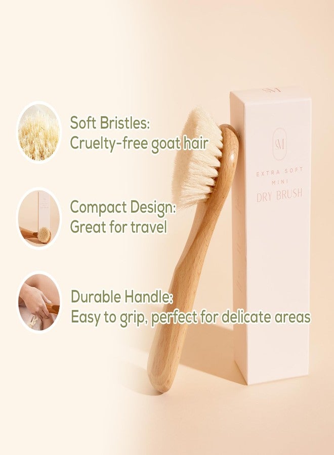 c s m CSM Extra-Soft Mini Dry Brush for Sensitive Skin - Gentle Exfoliation with Natural Goat Hair Bristles, Improves Circulation & Boosts Radiance - Image 3