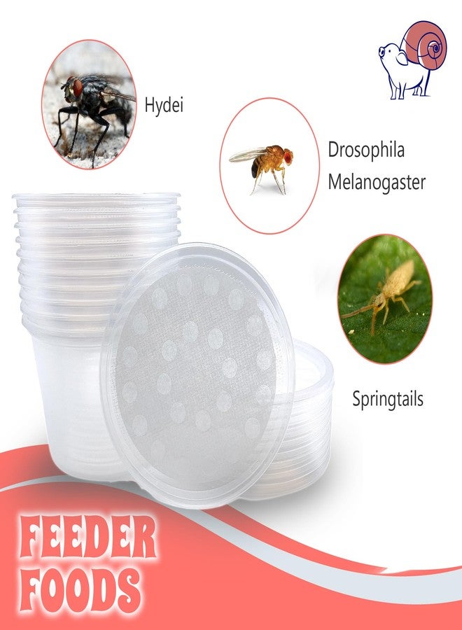 Snout and Shell 16 oz Deli Cup and Fabric Vented Insect Feeder lids by Snout & Shell - Pack of 10 Cups and lids - Image 4
