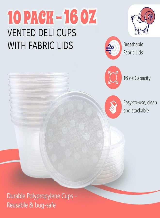 Snout and Shell 16 oz Deli Cup and Fabric Vented Insect Feeder lids by Snout & Shell - Pack of 10 Cups and lids - Image 2