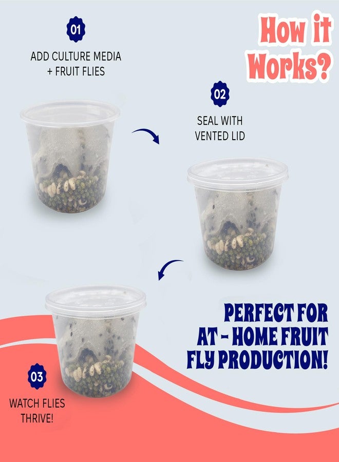 Snout and Shell 16 oz Deli Cup and Fabric Vented Insect Feeder lids by Snout & Shell - Pack of 10 Cups and lids - Image 3