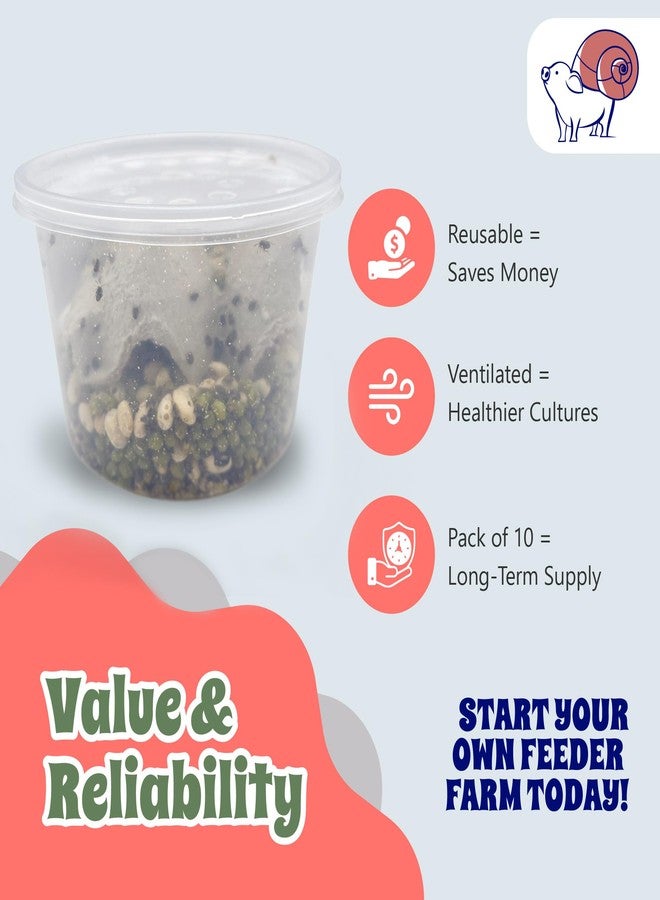 Snout and Shell 16 oz Deli Cup and Fabric Vented Insect Feeder lids by Snout & Shell - Pack of 10 Cups and lids - Image 5