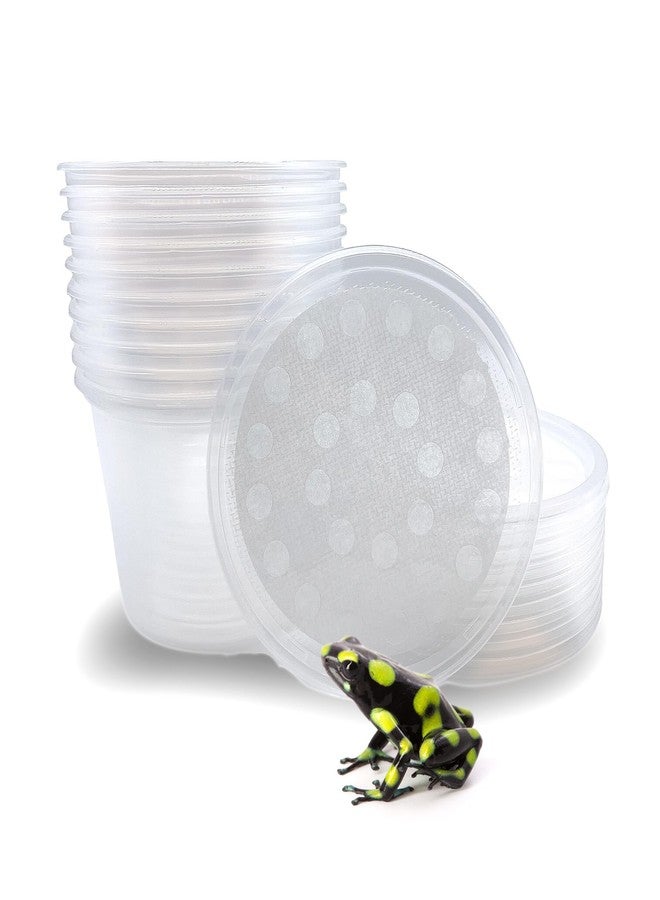 Snout and Shell 16 oz Deli Cup and Fabric Vented Insect Feeder lids by Snout & Shell - Pack of 10 Cups and lids - Image 1