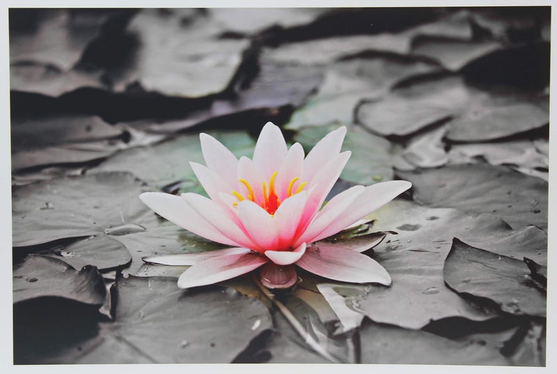 PPD Glossy Photo Paper for Inkjet Printer, 13 x 19" Premium Quality Printable Sheets for Custom Picture, Professional Photographic Instant Dry For with Normal, Dye or Pigment Ink (20 Pack/280 gsm) - Image 5