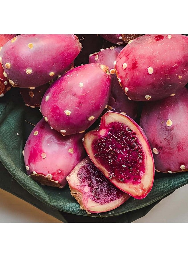 minature قرص الكمثرى الشوكية من mi Nature | عشب نوبال/تونا | التين الهندي | غير معدل وراثيًا، نباتي، خالي من الغلوتين | من الهند | 500 ملغ 90 قرص، إمداد لمدة 45 يومًا - Image 2