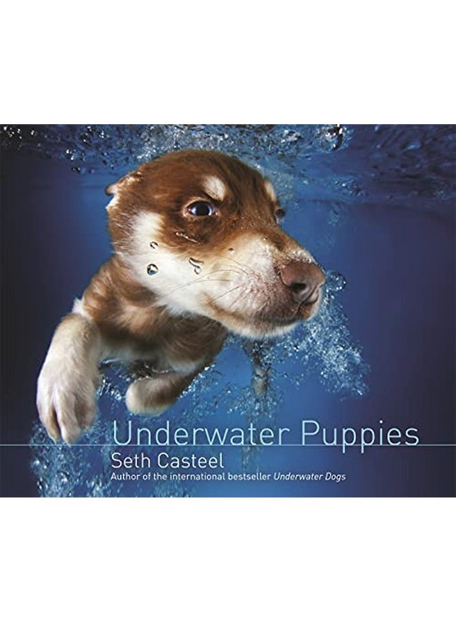 Underwater Puppies