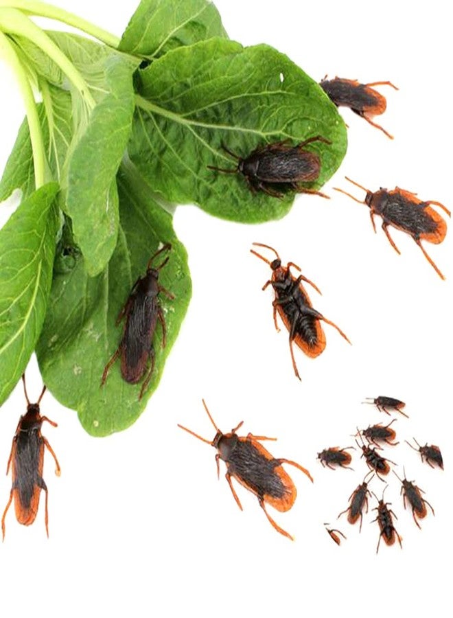 GUDVES Prank Fake Roaches Model Simulation Rubber Cockroach Roach Bug Toy Funny Trick Joke Toys Plastic Bugs (10PCS) - Image 2