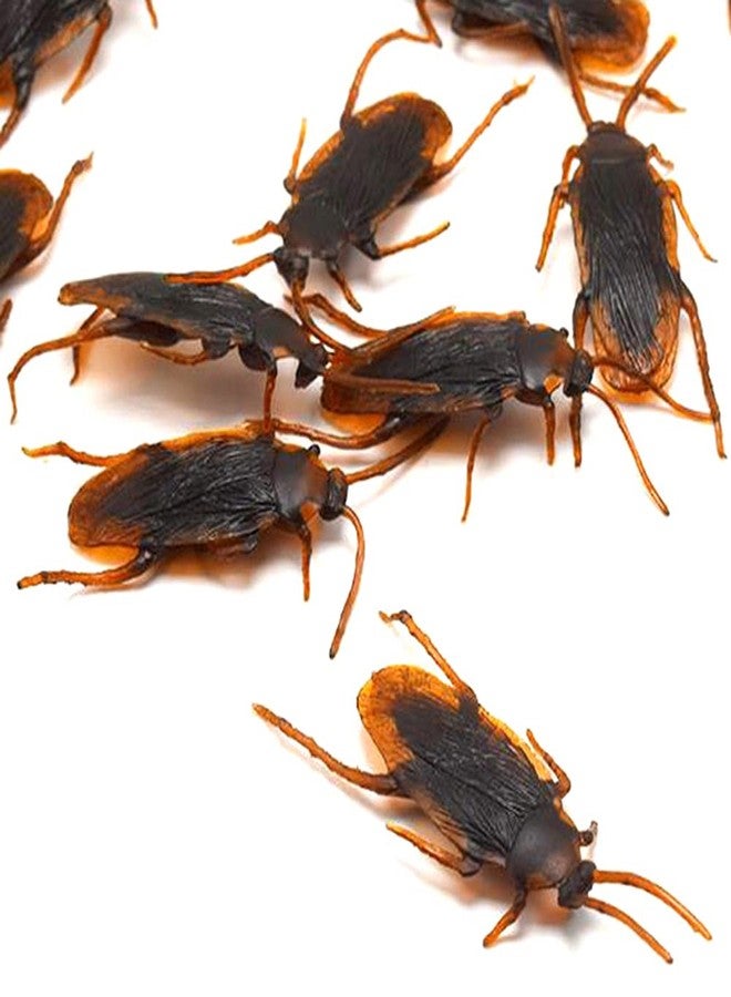 GUDVES Prank Fake Roaches Model Simulation Rubber Cockroach Roach Bug Toy Funny Trick Joke Toys Plastic Bugs (10PCS) - Image 4