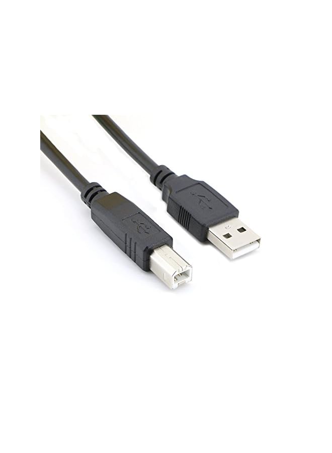 PASOW Usb 2.0 Cable A Male To B Male Cable For Printer Scanner 6 Feet 1.8M - Image 2