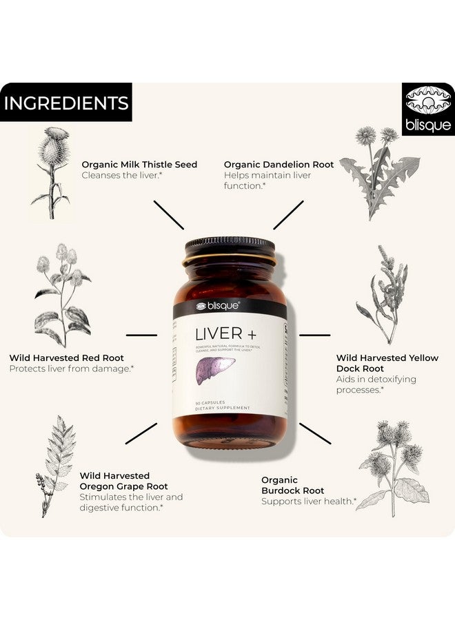 Blisque - Liver Complex Supplement to Detox, Cleanse, and Repair The Liver | Doctor Approved | Natural Ingredients | Milk Thistle, Dandelion, and Burdock Root | 90 Capsule Pills - Image 5