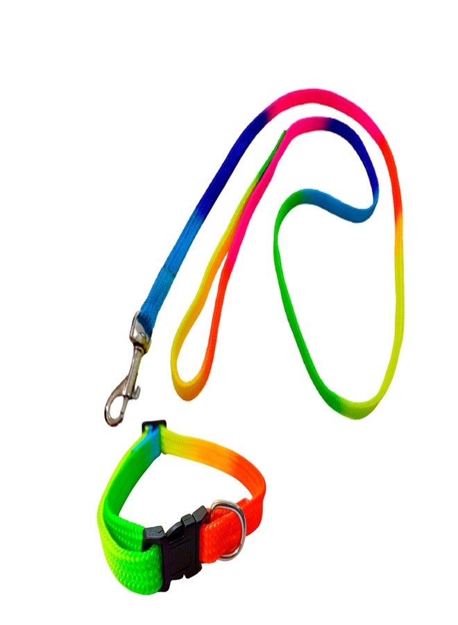 PetWag Nylon Multicolor Dog Leash and Collar Set, for Small & Puppy Breeds - Image 3